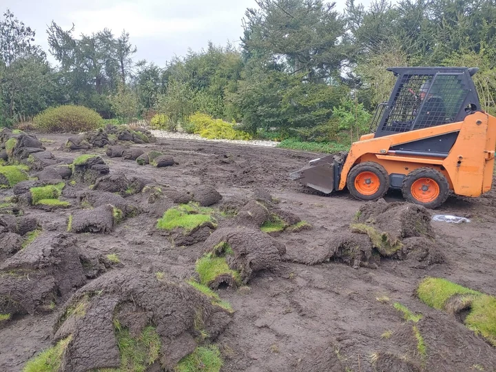 wycinanie starej darni